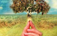 Hari Biasa, Minggu Biasa XXX. “Hal Kerajaan Allah Seumpama Biji Sesawi”